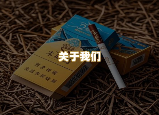关于我们